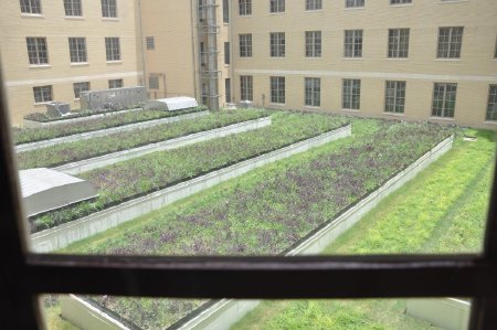 6.)   Green rooftop on the interior of the Postoffice