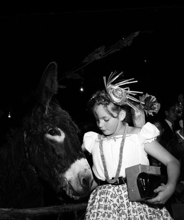 Donkey and unidentified girl at NIOSA, 1975.